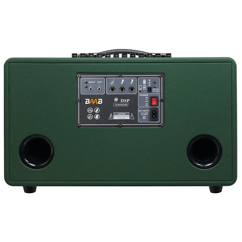 Professional High Power 8 "bass BT Retro Wooden Party Speakers Karaoke Home Theater Speakers With Microphone Sound