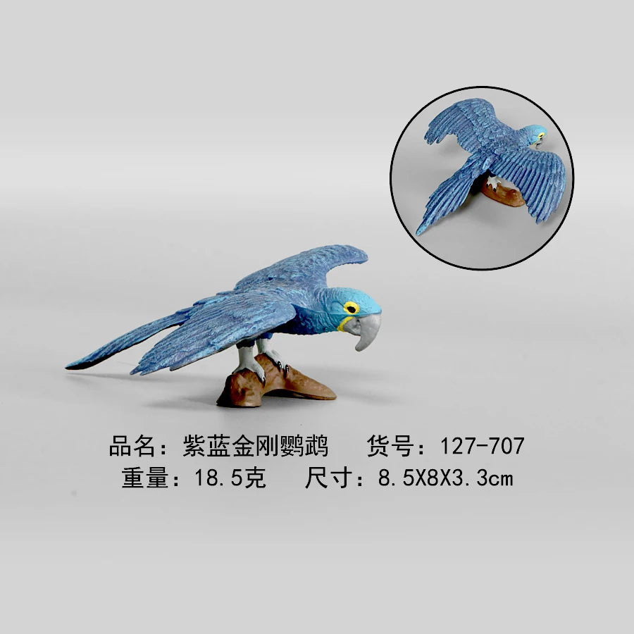Simulation Animal Models Birds Figurine Parrots Owls Otriches Turkey PVC Plastic Models,Hand Painted Collection Toys For Kids