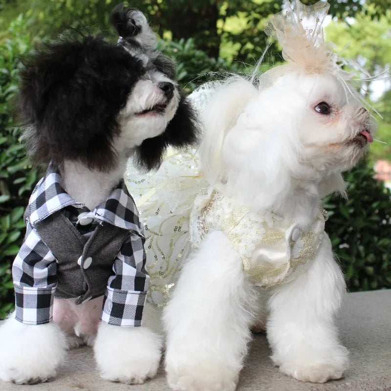 Cute Pet Dog Cats Clothes Luxury Handmade Golden Sequin Lace Flower Party Dress For Small Medium Dogs Fashion Outfits Puppy Coat
