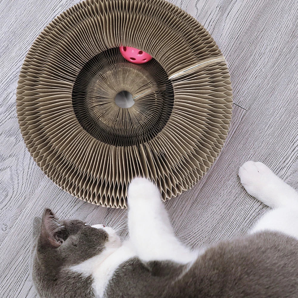 Funny Cat Toy Bed 3 IN 1 Cat Scratcher Cardboard With Ball Toys Collapsible Cat Scratcher Lounge Bed Scratching Pad 3 Types