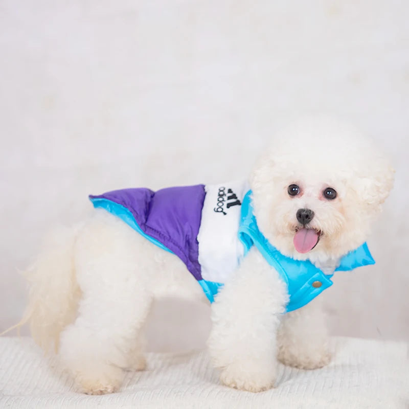 Pet Clothes Dog Designer Clothes Luxury Fashion Dog Casaca Perrito Teddy Three Color Cat Cotton Coat Warm Up In Winter