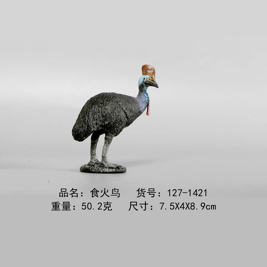 Simulation Animal Models Birds Figurine Parrots Owls Otriches Turkey PVC Plastic Models,Hand Painted Collection Toys For Kids