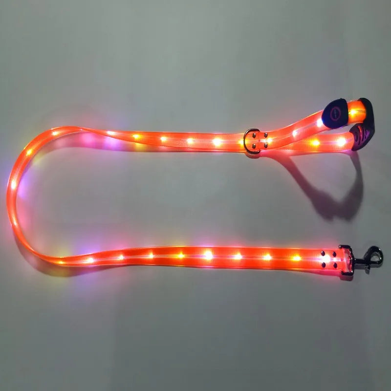 Light Up Dog Leash With Collar Set Waterproof PVC Rope USB Rechargeable Glow In The Dark Visiable Safety Night Walking