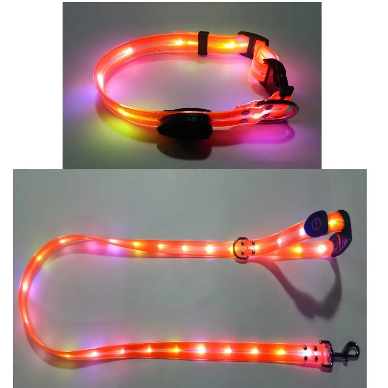 Light Up Dog Leash With Collar Set Waterproof PVC Rope USB Rechargeable Glow In The Dark Visiable Safety Night Walking