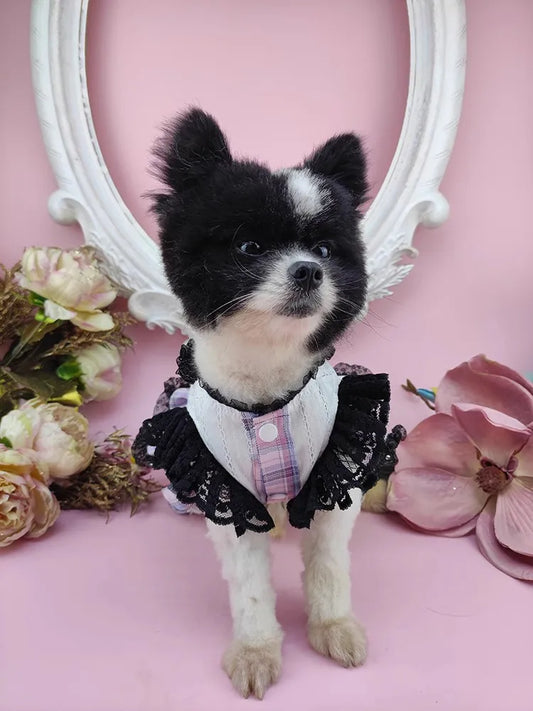 Handmade Dog Clothes Pet Supplies Princess Uniform Style Dress Pink Blue Plaid Daily Walking Apparel Poodle Maltese Chihuahua