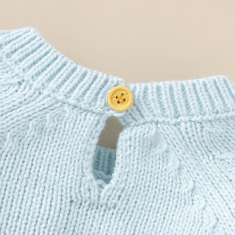 Newborn Baby Bodysuits Fashion Floral Embroideried Clothes 0-18m Winter Infant Girl Jumpsuit Long Sleeve Autumn Overalls Sweater