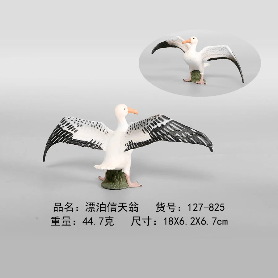 Simulation Animal Models Birds Figurine Parrots Owls Otriches Turkey PVC Plastic Models,Hand Painted Collection Toys For Kids