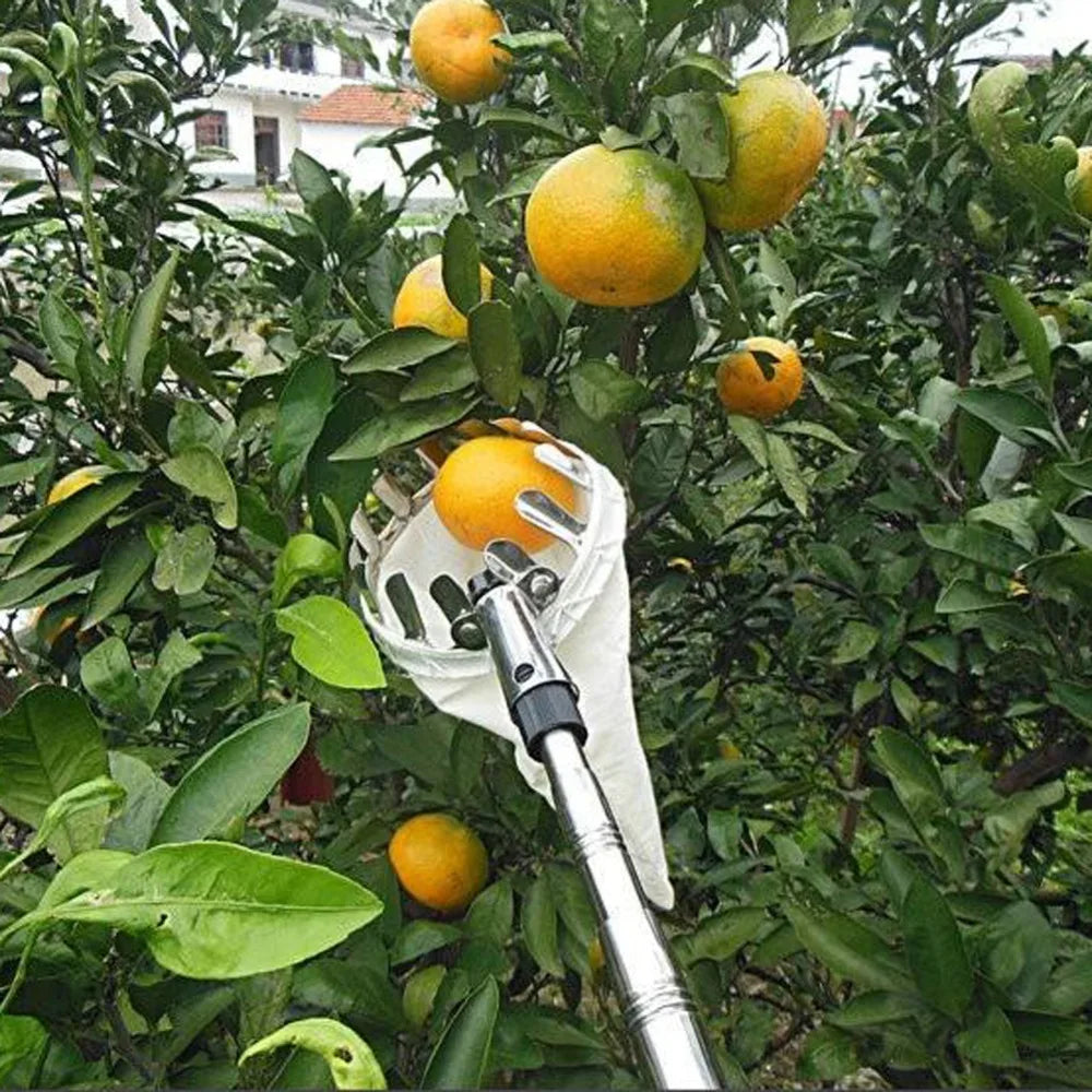 Metal Fruit Picker Orchard Gardening Apple Peach High Tree Picking Tools Fruit Catcher Collector Gardening Tools