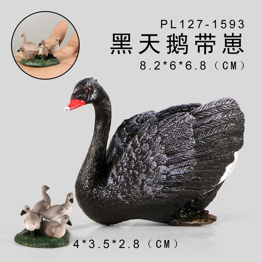 Simulation Animal Models Birds Figurine Parrots Owls Otriches Turkey PVC Plastic Models,Hand Painted Collection Toys For Kids