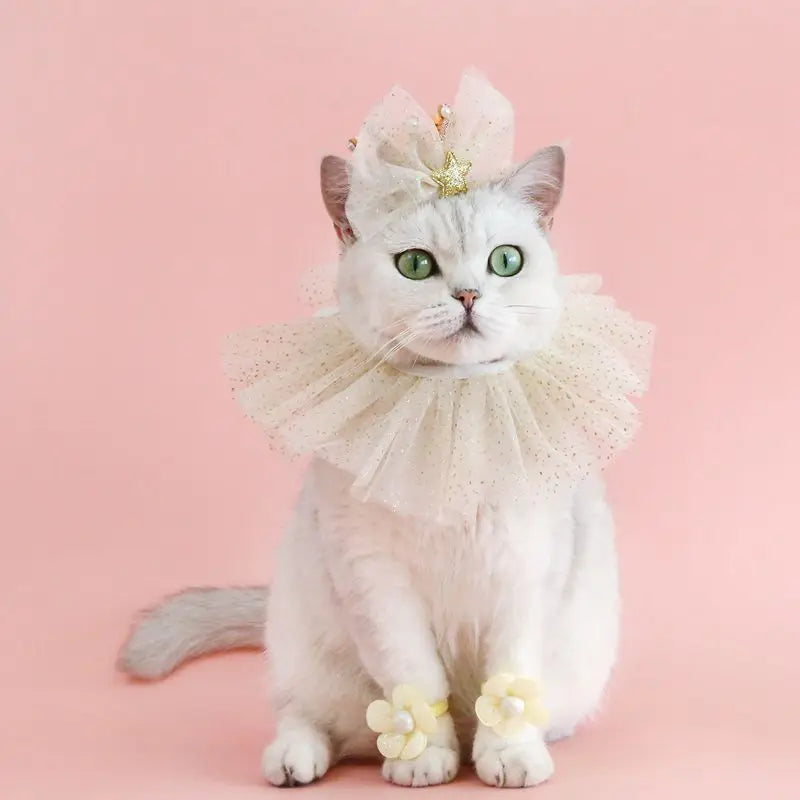 Pet Cat Birthday Party Hat Set Dog Hat Bow Lace Cat Bib Cute Small Medium Dogs Costume Cap Pet Products Puppy Accessories
