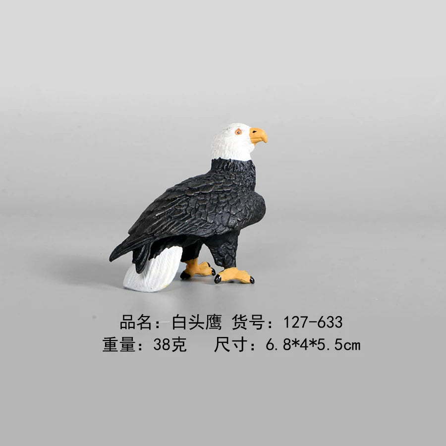 Simulation Animal Models Birds Figurine Parrots Owls Otriches Turkey PVC Plastic Models,Hand Painted Collection Toys For Kids