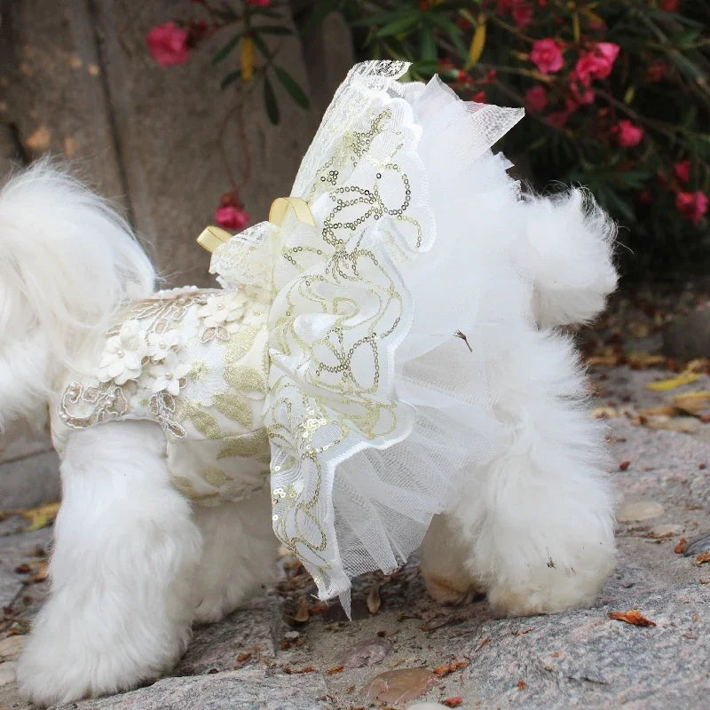 Cute Pet Dog Cats Clothes Luxury Handmade Golden Sequin Lace Flower Party Dress For Small Medium Dogs Fashion Outfits Puppy Coat