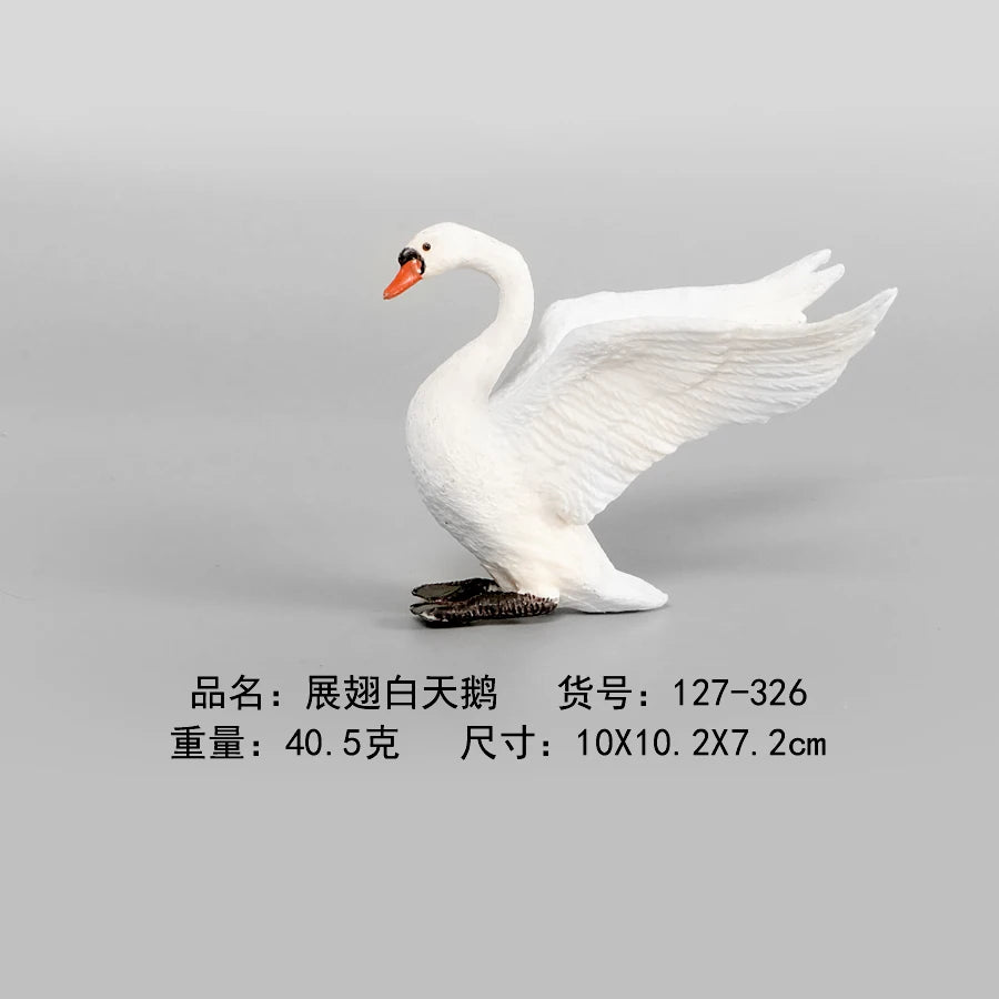Simulation Animal Models Birds Figurine Parrots Owls Otriches Turkey PVC Plastic Models,Hand Painted Collection Toys For Kids