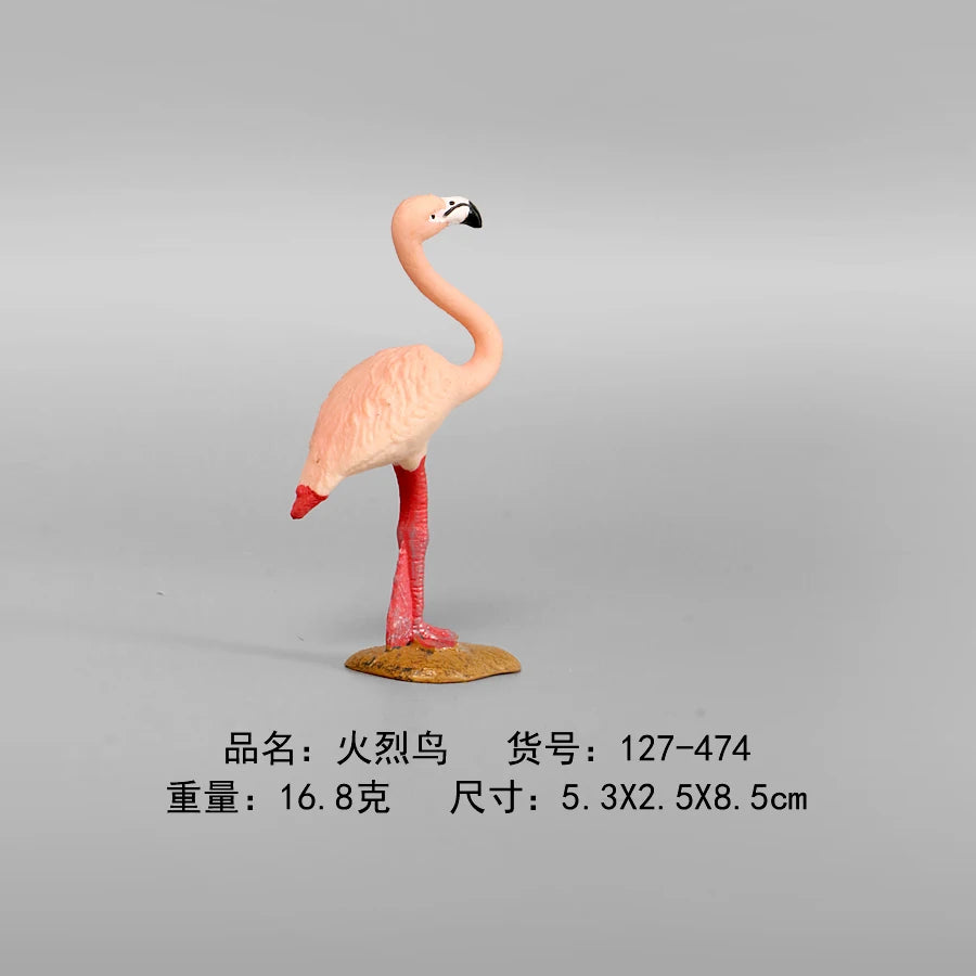 Simulation Animal Models Birds Figurine Parrots Owls Otriches Turkey PVC Plastic Models,Hand Painted Collection Toys For Kids