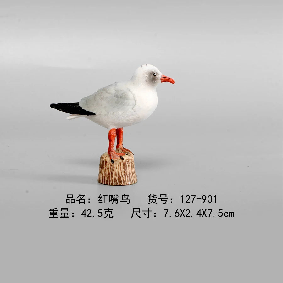 Simulation Animal Models Birds Figurine Parrots Owls Otriches Turkey PVC Plastic Models,Hand Painted Collection Toys For Kids