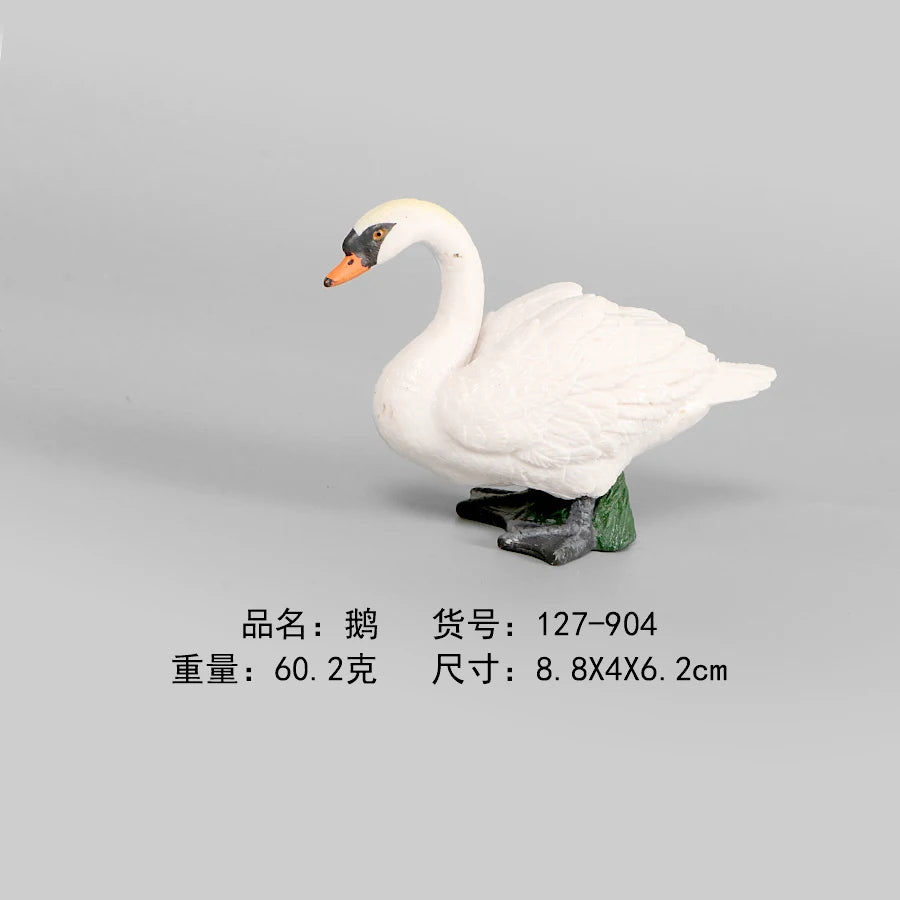 Simulation Animal Models Birds Figurine Parrots Owls Otriches Turkey PVC Plastic Models,Hand Painted Collection Toys For Kids