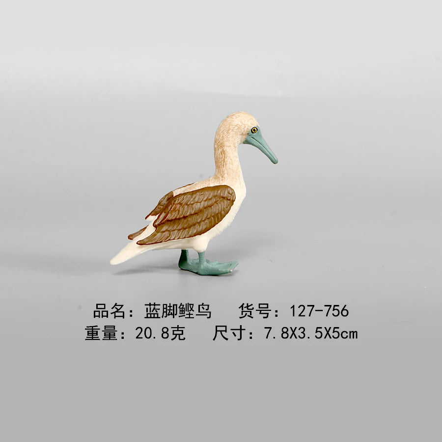 Simulation Animal Models Birds Figurine Parrots Owls Otriches Turkey PVC Plastic Models,Hand Painted Collection Toys For Kids