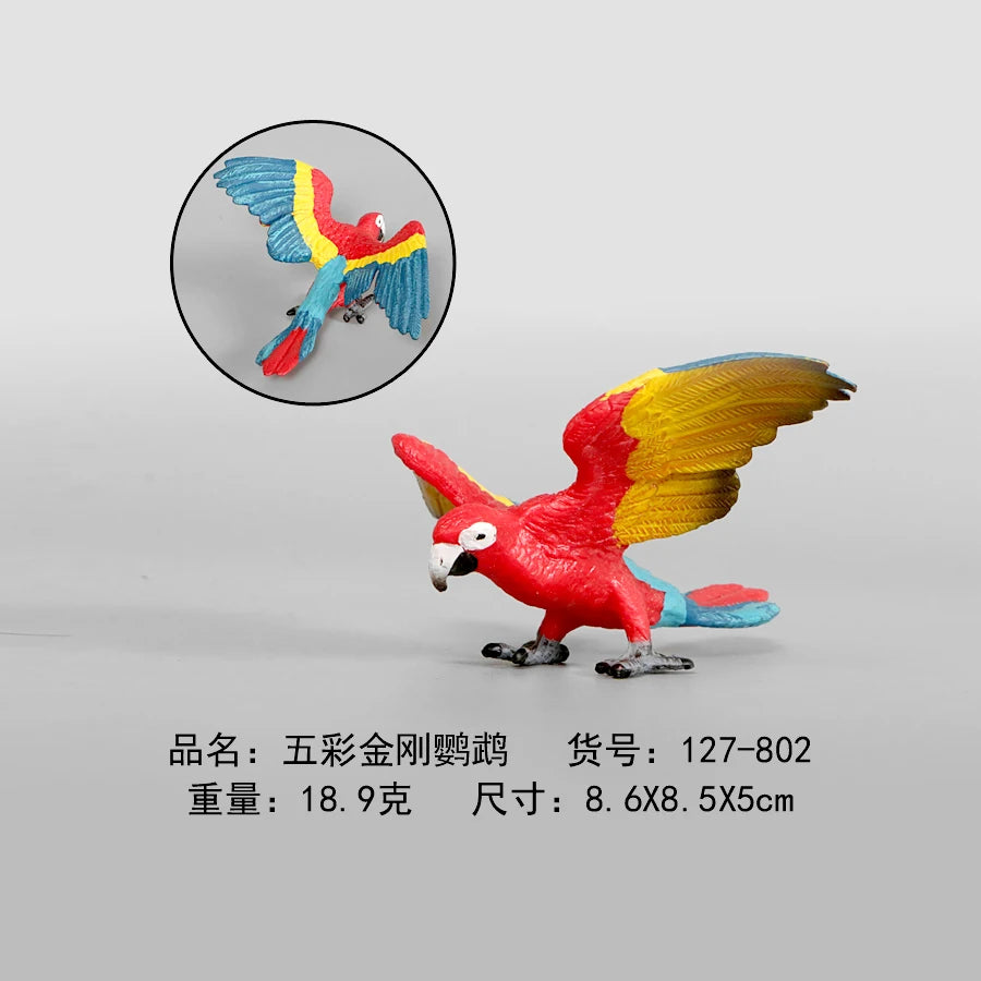 Simulation Animal Models Birds Figurine Parrots Owls Otriches Turkey PVC Plastic Models,Hand Painted Collection Toys For Kids
