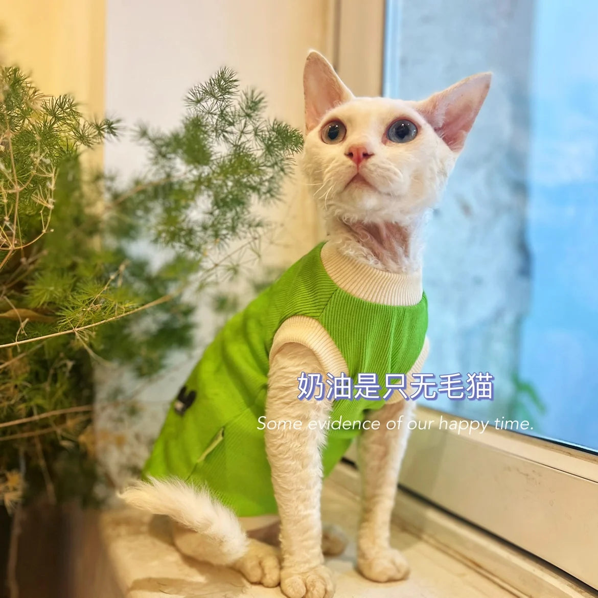 Green Cotton Shirt for Sphynx Cat Soft Sleeveless Jumpsuit for Kittens Summer Vest For Devon Rex Spring Coat for Hairless cat