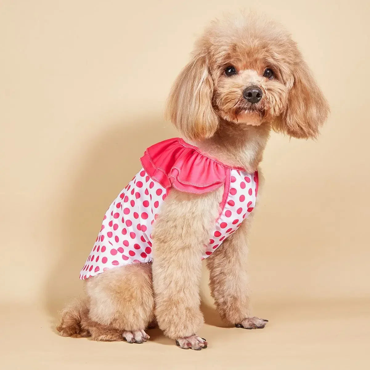 Pet Swimwear for Small Dogs Dog Cat Breathable Tank Top Swimwear Bikini Set Dog Bathing Dress Hawaiian Pet Beach Party Dog