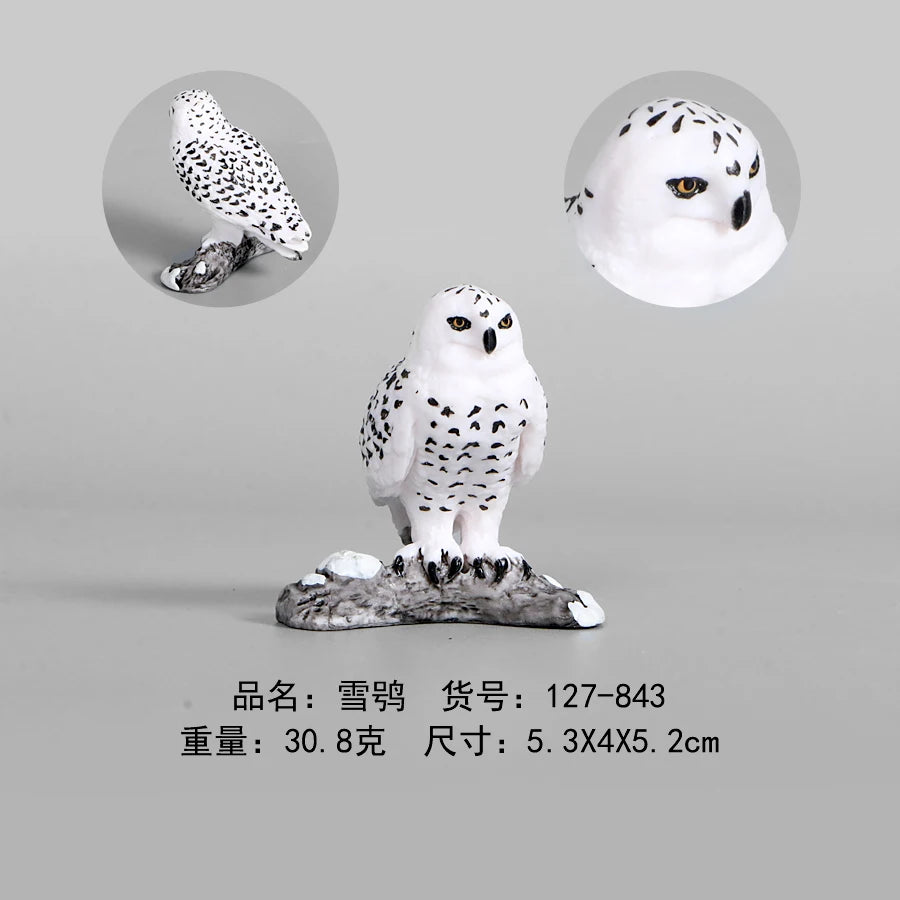 Simulation Animal Models Birds Figurine Parrots Owls Otriches Turkey PVC Plastic Models,Hand Painted Collection Toys For Kids
