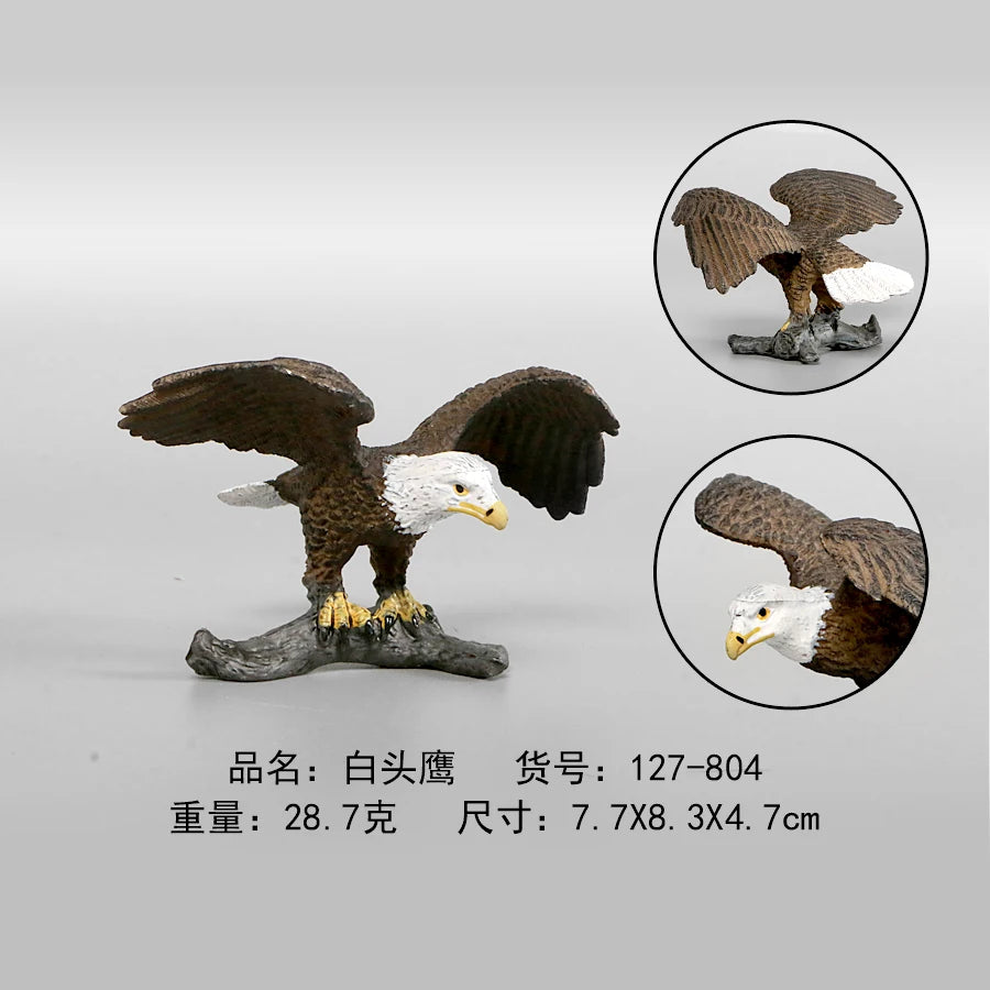 Simulation Animal Models Birds Figurine Parrots Owls Otriches Turkey PVC Plastic Models,Hand Painted Collection Toys For Kids