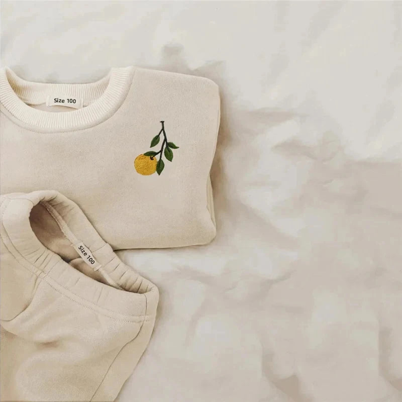2Pcs Spring Winter Baby Girl Boy Clothes Set Embroidery Thicken Fleece Warm Sweatshirt Pant Boy Tracksuit Toddler Clothes Outfit