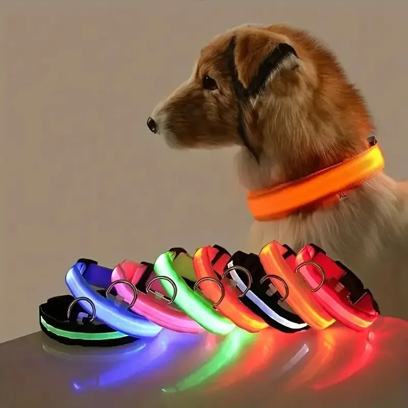 Nylon LED Nacht Sicherheit Blinkende Glow In The Dark Hund Leine Hunde Leuchtende Fluoreszierende Haustier Hund Kragen