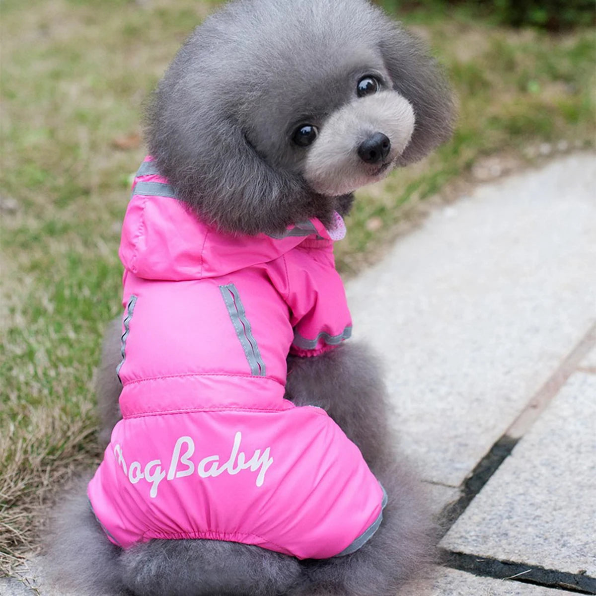 Outdoor Puppy Pet Dog Rain Coat Hoodies Waterproof Jackets Breathable Raincoat For Dogs Cats Apparel Clothes Summer Pet Supplies