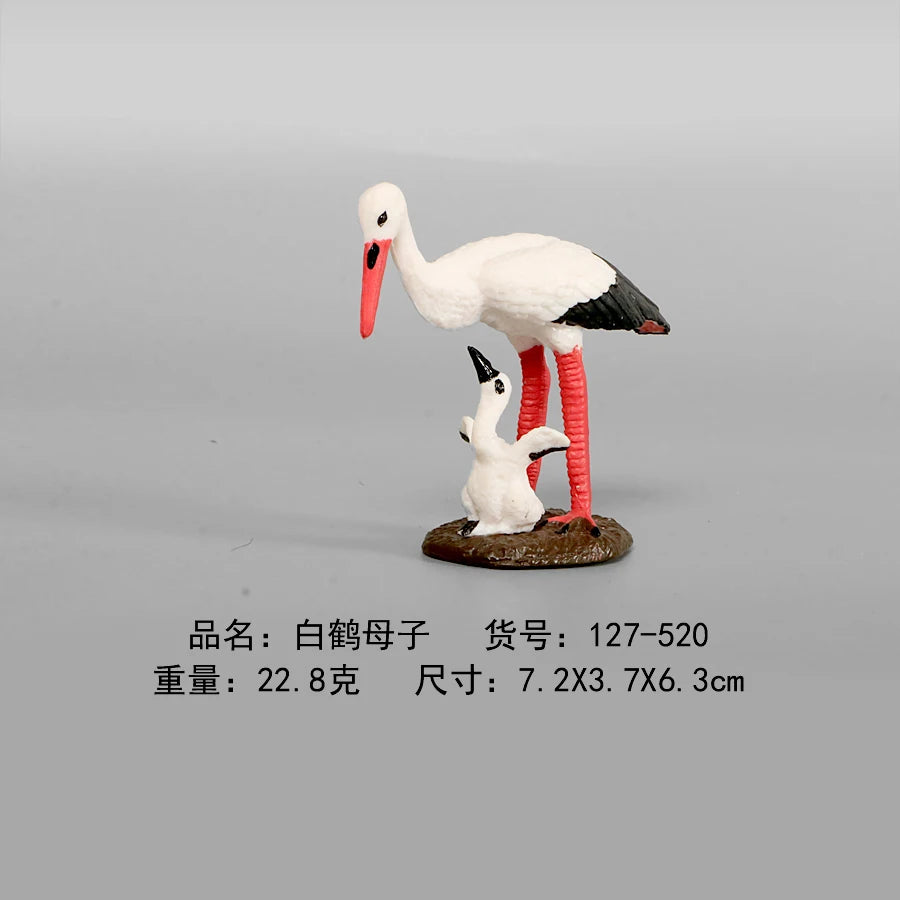 Simulation Animal Models Birds Figurine Parrots Owls Otriches Turkey PVC Plastic Models,Hand Painted Collection Toys For Kids