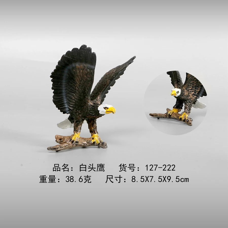 Simulation Animal Models Birds Figurine Parrots Owls Otriches Turkey PVC Plastic Models,Hand Painted Collection Toys For Kids