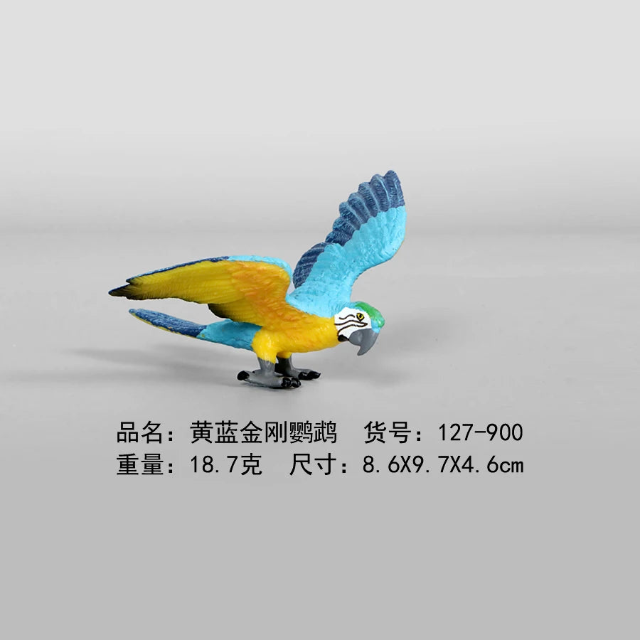 Simulation Animal Models Birds Figurine Parrots Owls Otriches Turkey PVC Plastic Models,Hand Painted Collection Toys For Kids