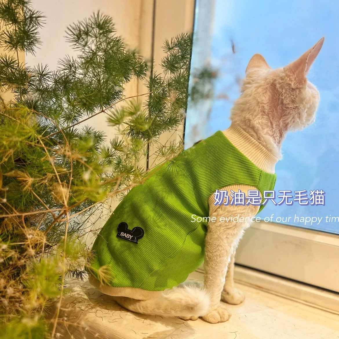 Green Cotton Shirt for Sphynx Cat Soft Sleeveless Jumpsuit for Kittens Summer Vest For Devon Rex Spring Coat for Hairless cat