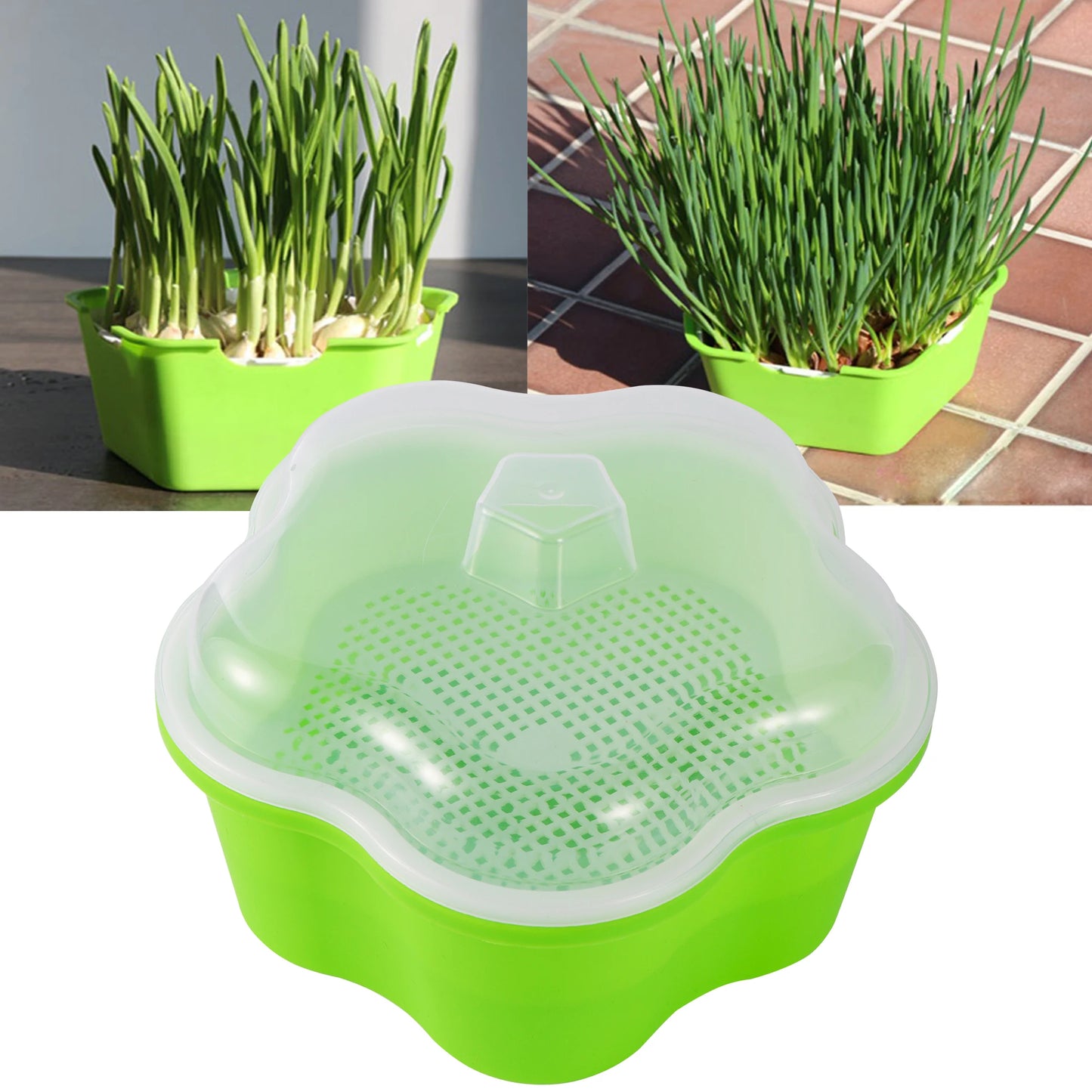 Sprout Planting Pot Bean Sprouter Seedling Tray Wheat Grass Growing Germination Healthy Sprouts for Salads kitchen tool