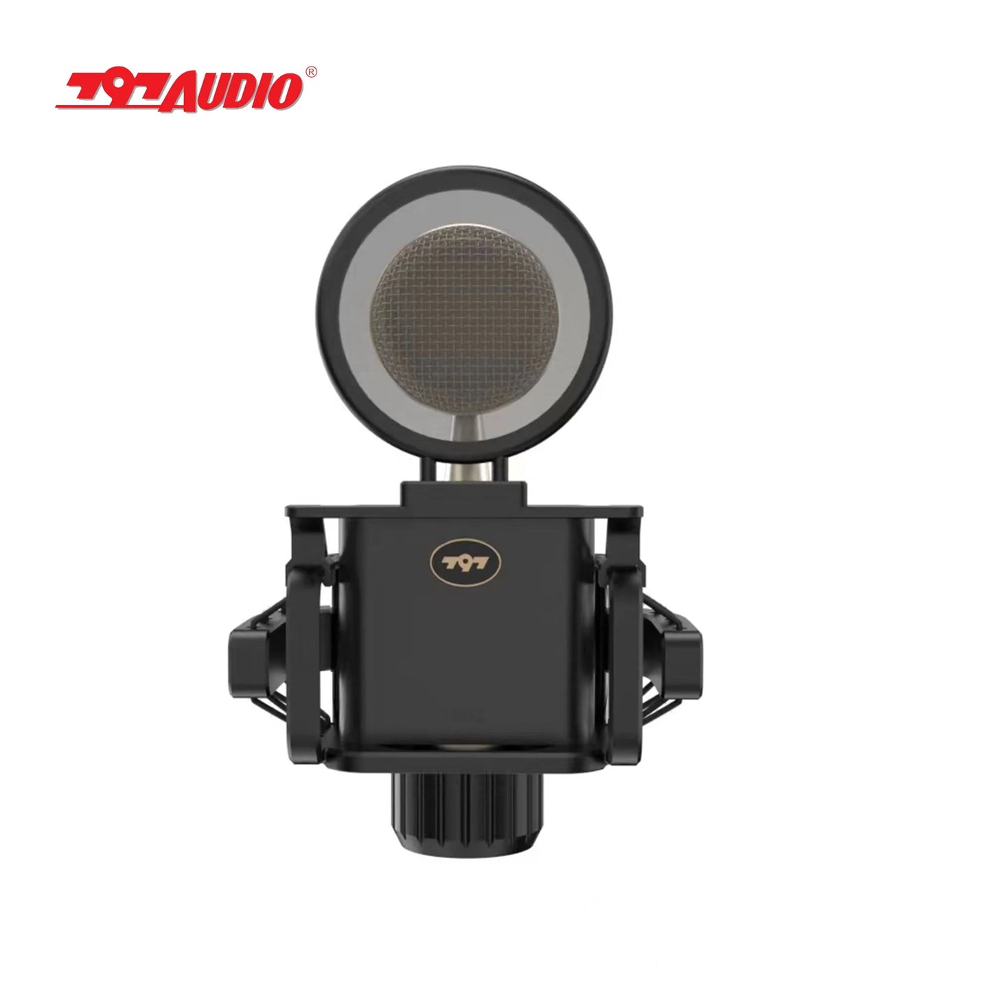 797Audio CR632 3-Pin XLR Professional Condenser Microphone for Singing Recording Studio Gear Music Studio Equipment