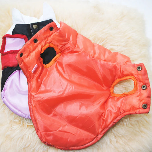 Haustierkleidung Hundedesignerkleidung Luxusmode Hund Casaca Perrito Teddy Dreifarbiger Baumwollmantel für Katzen zum Aufwärmen im Winter 