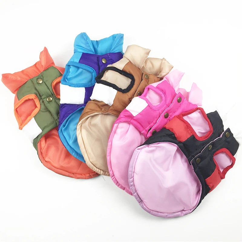 Pet Clothes Dog Designer Clothes Luxury Fashion Dog Casaca Perrito Teddy Three Color Cat Cotton Coat Warm Up In Winter