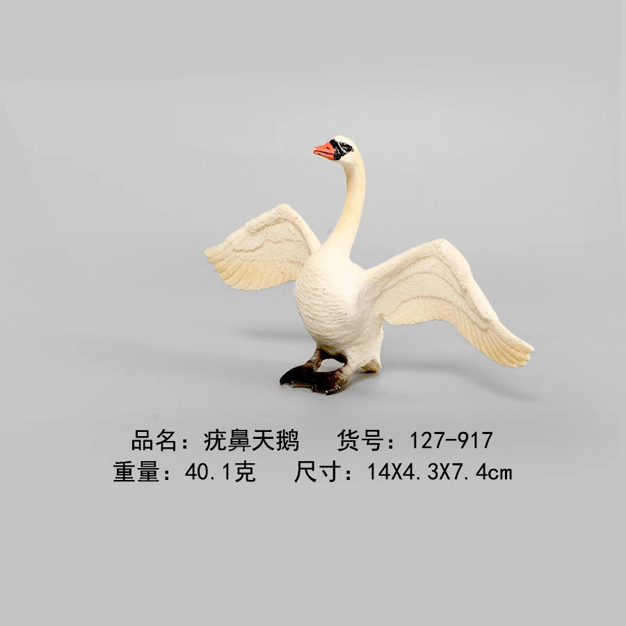 Simulation Animal Models Birds Figurine Parrots Owls Otriches Turkey PVC Plastic Models,Hand Painted Collection Toys For Kids