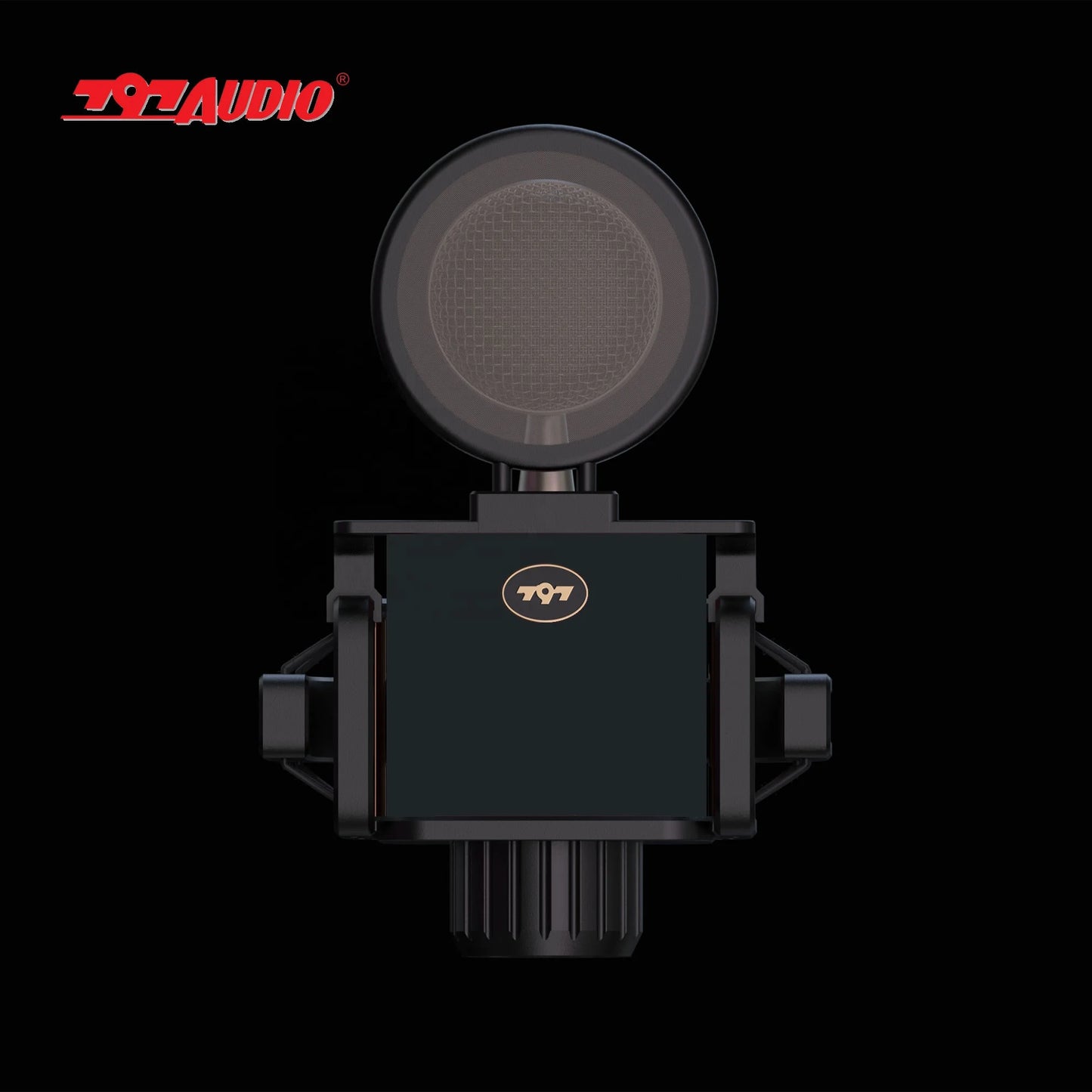 797Audio CR632 3-Pin XLR Professional Condenser Microphone for Singing Recording Studio Gear Music Studio Equipment