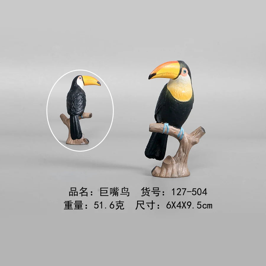 Simulation Animal Models Birds Figurine Parrots Owls Otriches Turkey PVC Plastic Models,Hand Painted Collection Toys For Kids