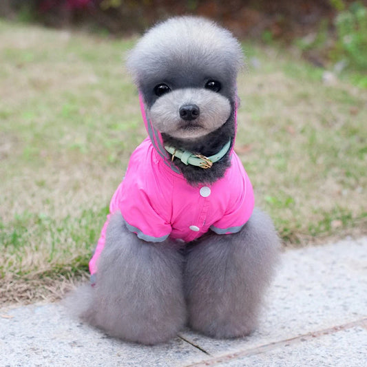 Outdoor-Welpen-Haustier-Hunderegenmantel Hoodies Wasserdichte Jacken Atmungsaktiver Regenmantel Für Hunde Katzen Bekleidung Kleidung Sommer Heimtierbedarf 