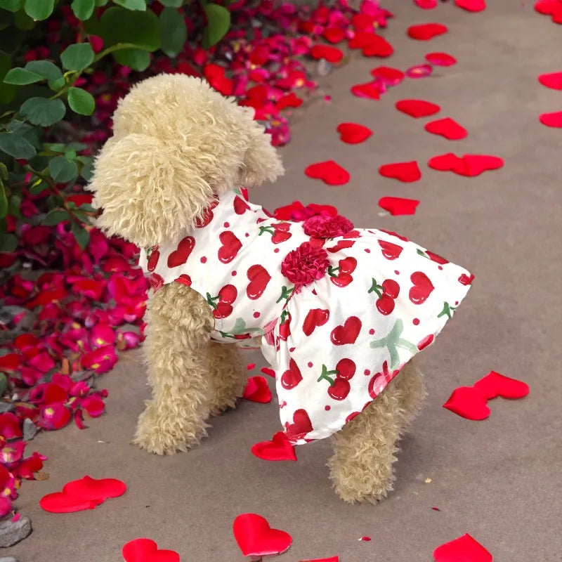 Pet Dog Clothes Valentines Day Dress for Dogs Clothing Cat Small Heart Print Spring Fashion Girl Chihuahua Pet Products 2024