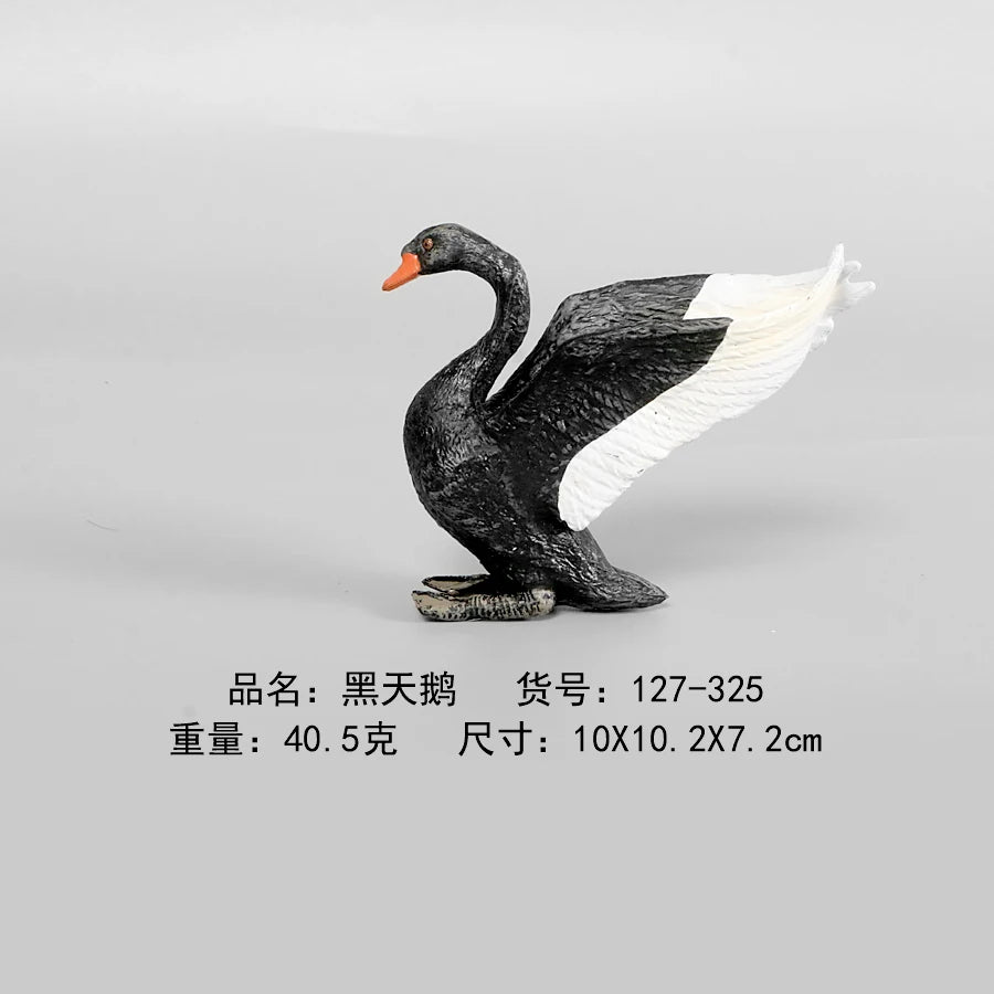 Simulation Animal Models Birds Figurine Parrots Owls Otriches Turkey PVC Plastic Models,Hand Painted Collection Toys For Kids