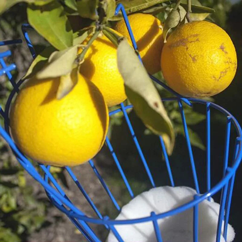 Garden Tools Deep Basket Fruit Picker Head Farm Garden Picking Device camp