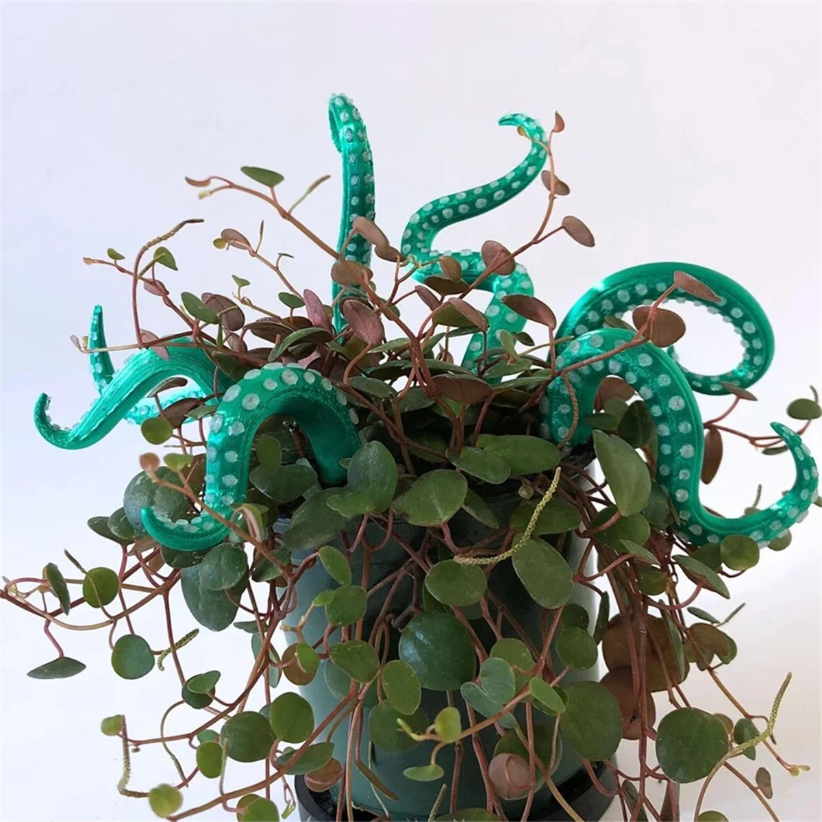 7PCS SeaMonster Tentacles Octopus Tentacle Plant Stake Garden Stakes for Plant Decor Octopus Tentacle Stakes B