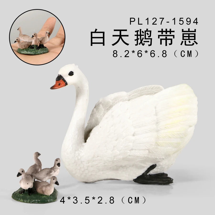 Simulation Animal Models Birds Figurine Parrots Owls Otriches Turkey PVC Plastic Models,Hand Painted Collection Toys For Kids