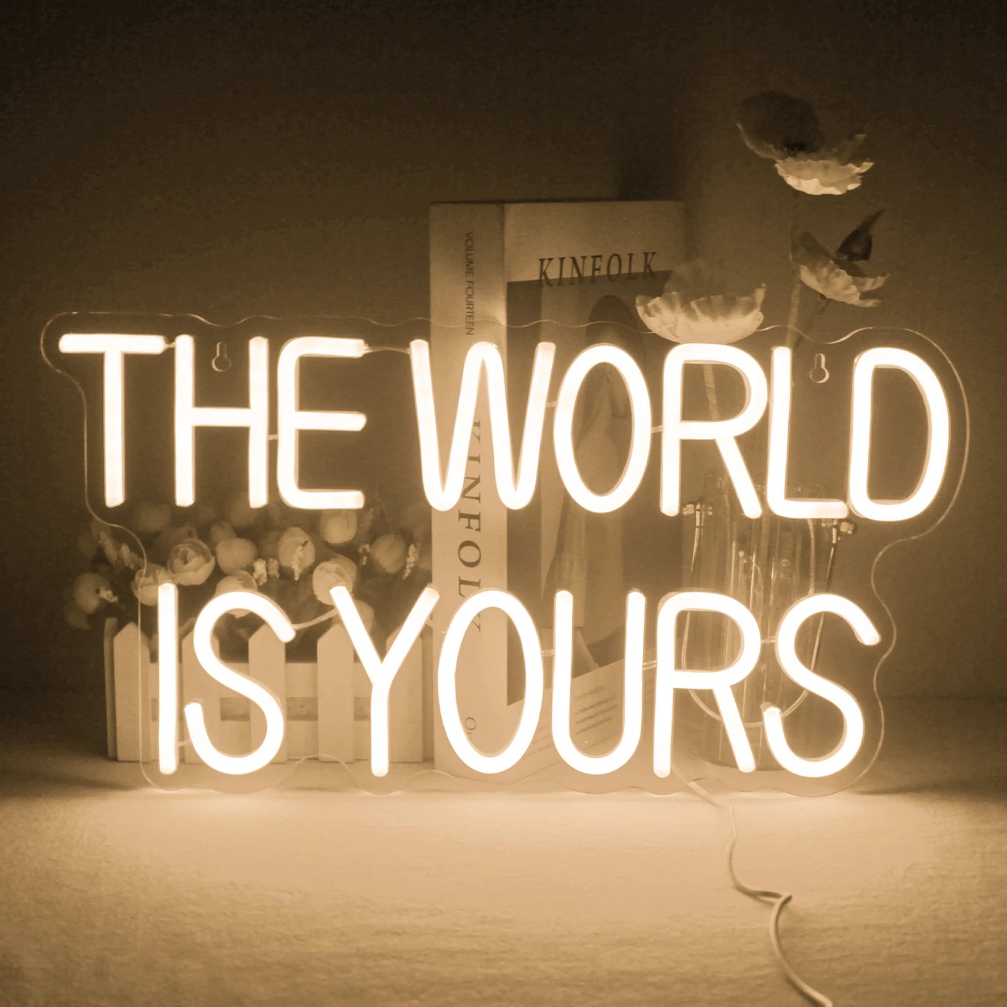 The World Is Yours Neon Sign Pink Led Neon Light for Room Wall Decor Wedding Engagement Valentines Day Led Neon Signs USB Neon