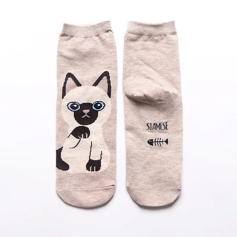 25 Patterns Korea Japan Fashion Funny Cartoon Lovely Cats Happy Socks Women Girls Casual Streetwear Cute Dress Sox Spring Summer