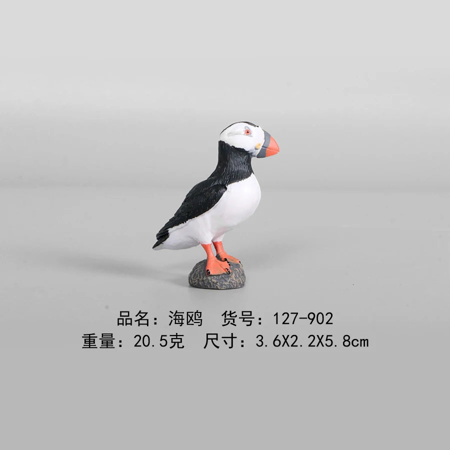 Simulation Animal Models Birds Figurine Parrots Owls Otriches Turkey PVC Plastic Models,Hand Painted Collection Toys For Kids