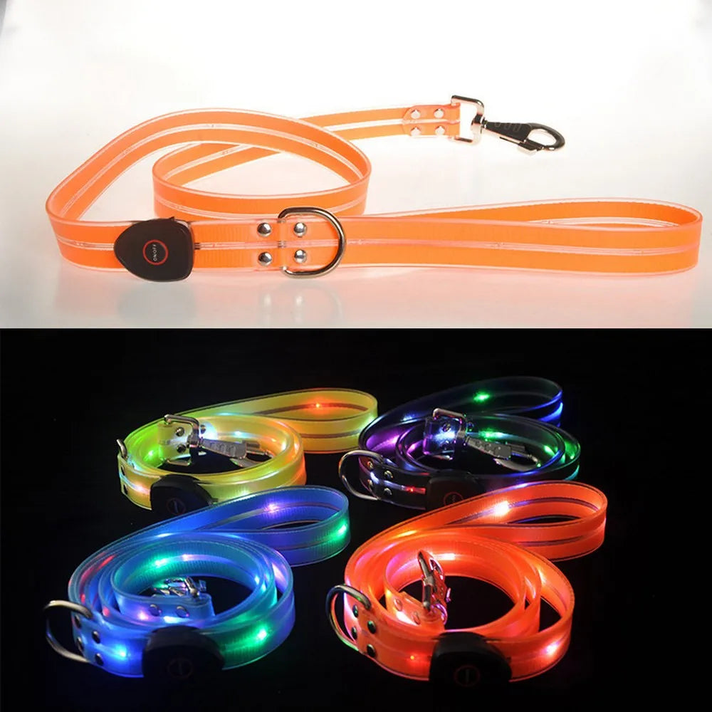 Light Up Dog Leash With Collar Set Waterproof PVC Rope USB Rechargeable Glow In The Dark Visiable Safety Night Walking